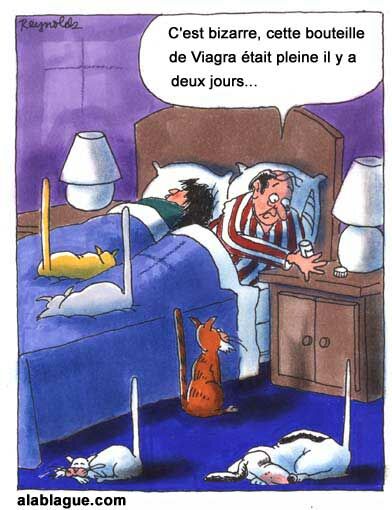 Avoir Images La Niche Wubitt Et Lomyx Les Blagues 1 actualisé par